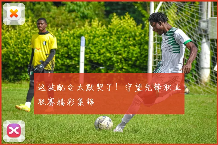 这波配合太默契了！守望先锋职业联赛精彩集锦