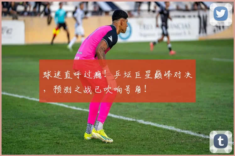 球迷直呼过瘾！乒坛巨星巅峰对决，预测之战已吹响号角！