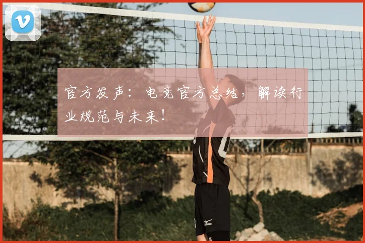 官方发声:电竞官方总结,解读行业规范与未来!